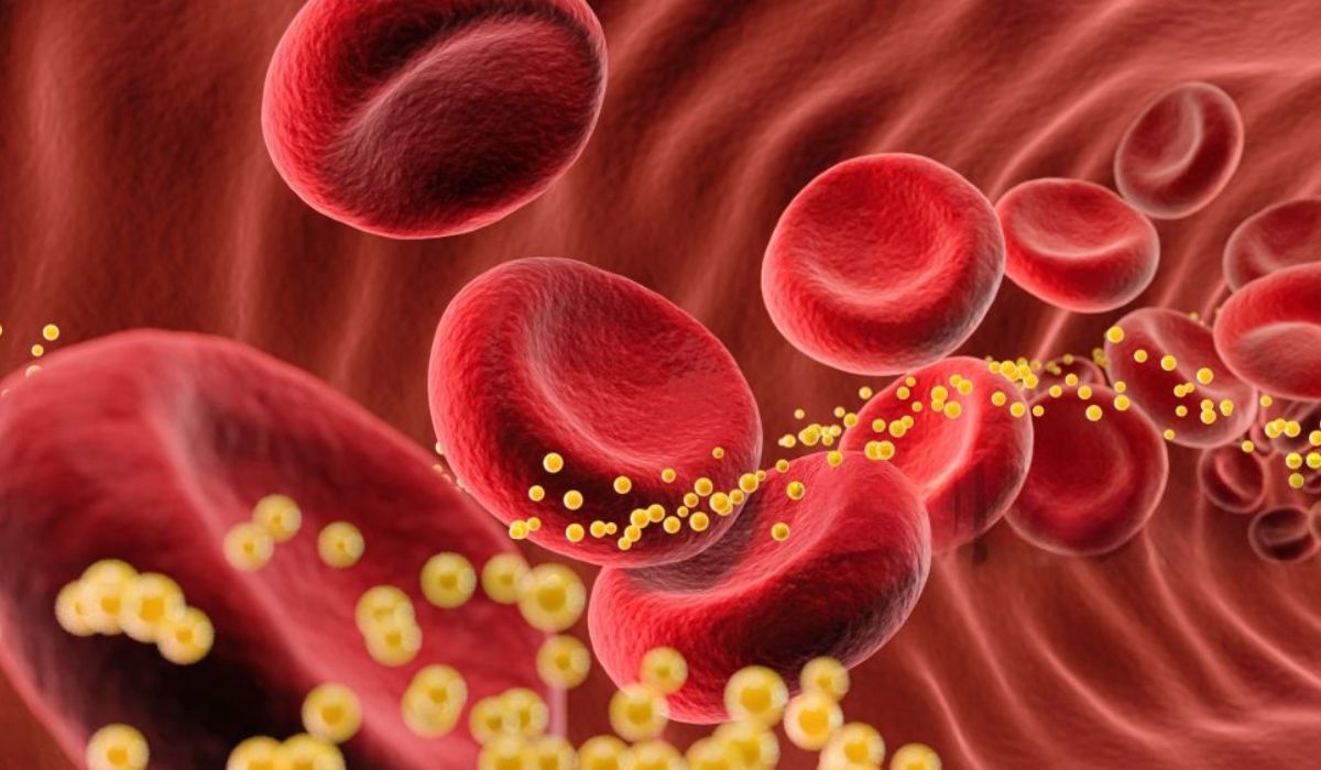 6 things that can lower cholesterol
